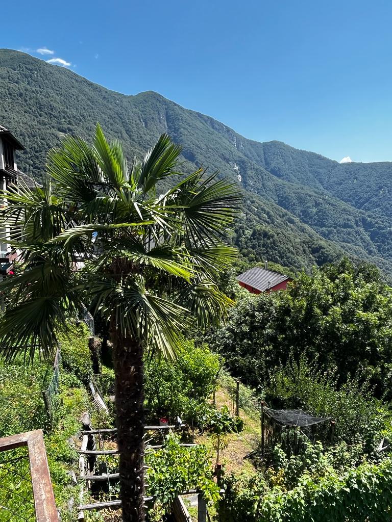 Vue sur les montagnes